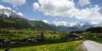 DSC02307.JPG