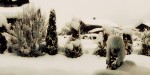 winter-garten